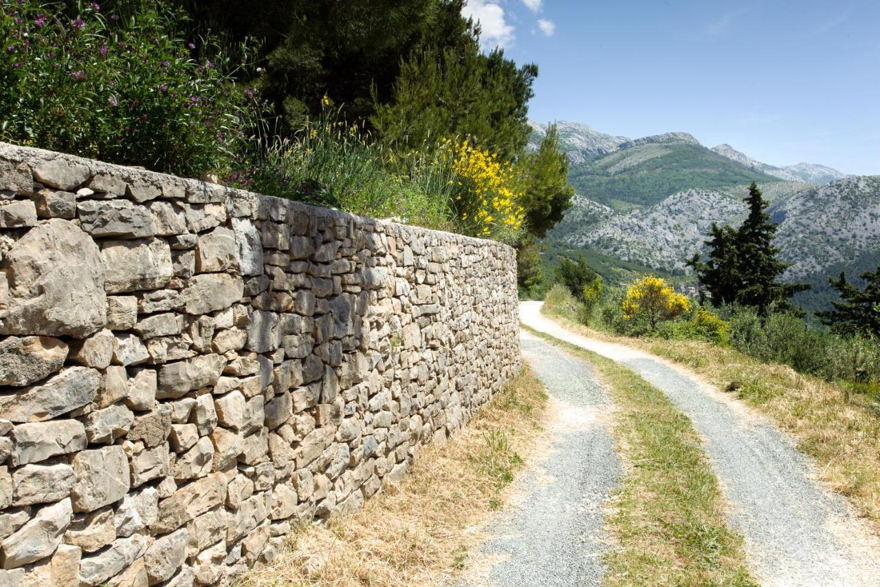 Villa Don Dan Žrnovnica エクステリア 写真